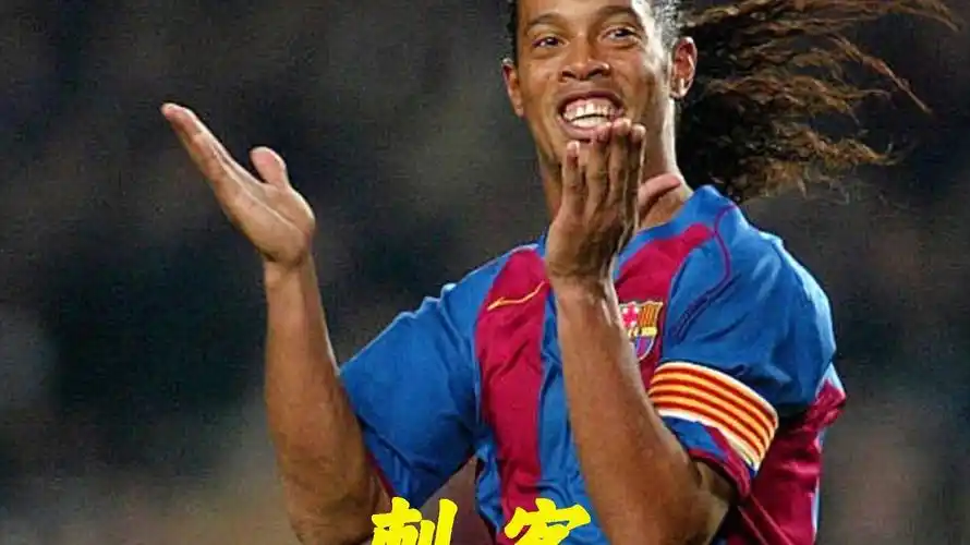 共同展示了 共同展示了