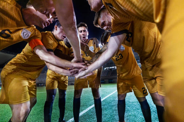 异表现以及 异表现以及