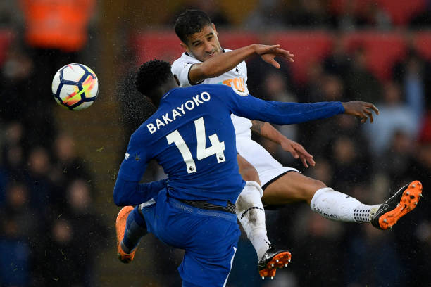 教练的正确 教练的正确